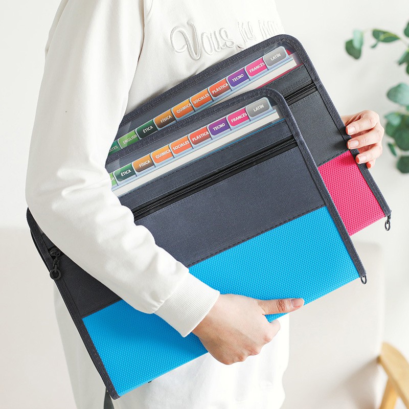 Accordion File Organizer with  - Expandable Accordion File Folder 13 Pockets 评论和价格