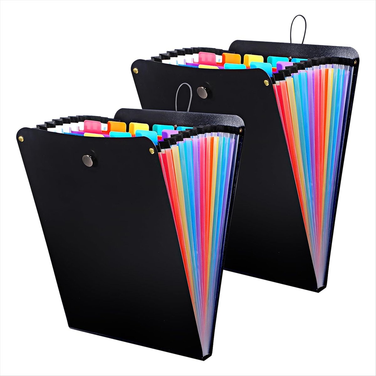 ABPP 2 Pcs Expanding File Fold - Expandable Accordion File Folder 13 Pockets 评论和价格